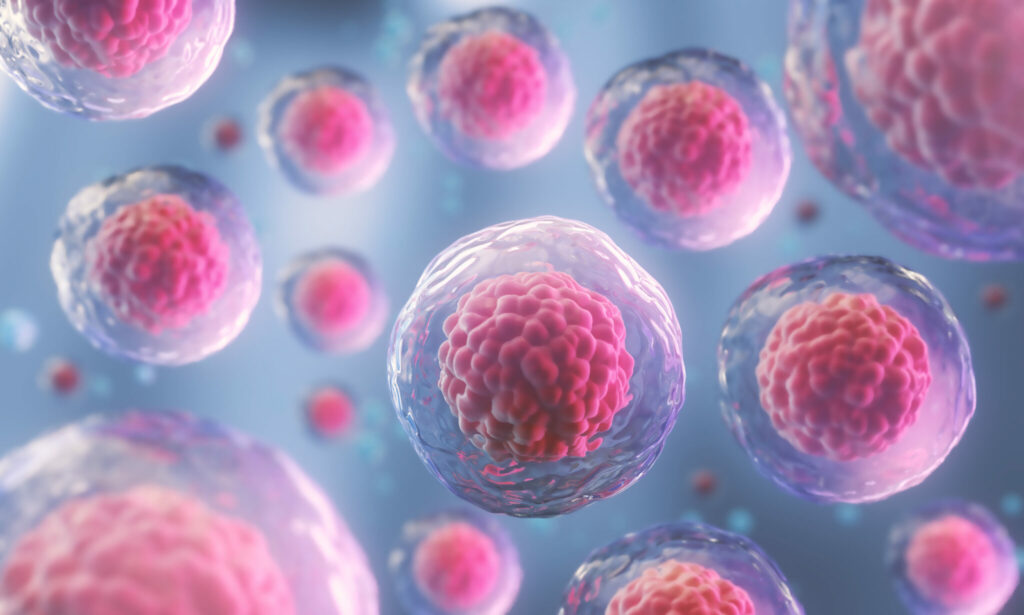 Illustration of human cells