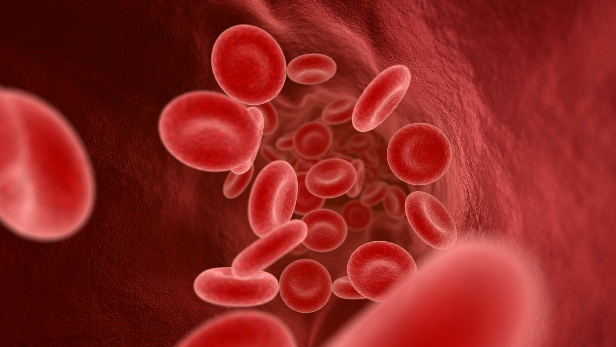 Closeup of blood cells in the vein